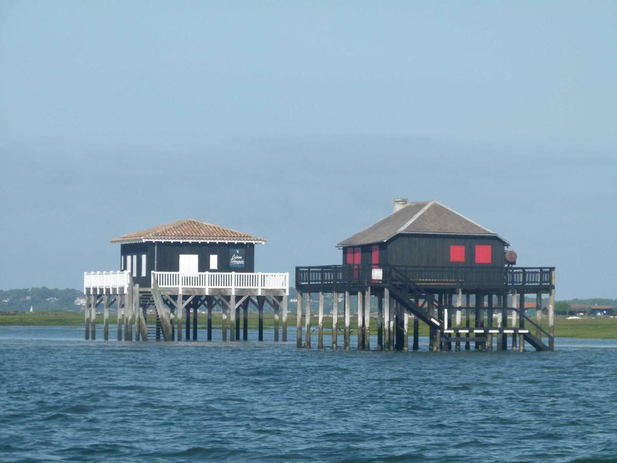 Les Pieds Dans L'Eau Lägenhet Arcachon Exteriör bild